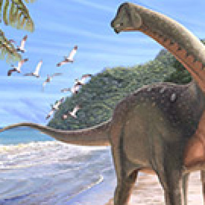 80 million year old dinosaur Mansourasaurus