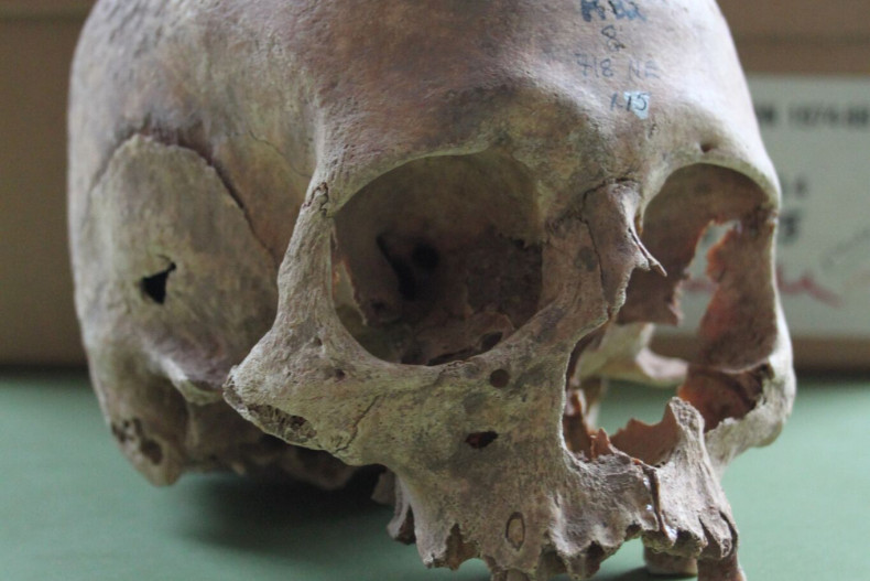 Repton Great Viking Army human skull
