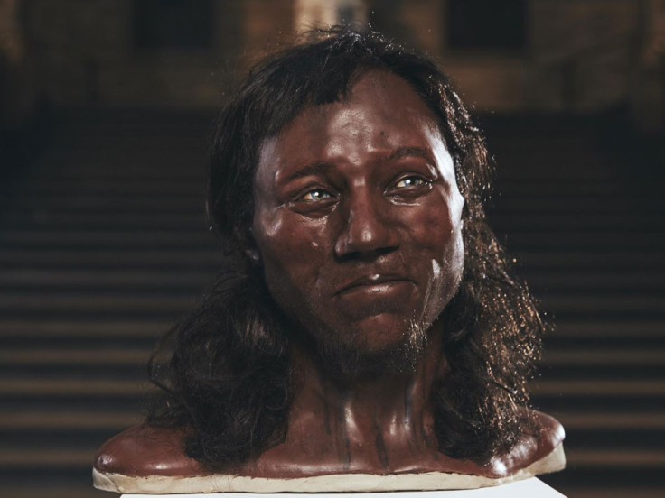 Cheddar man