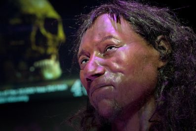  First Briton Had 'Dark to Black' Skin