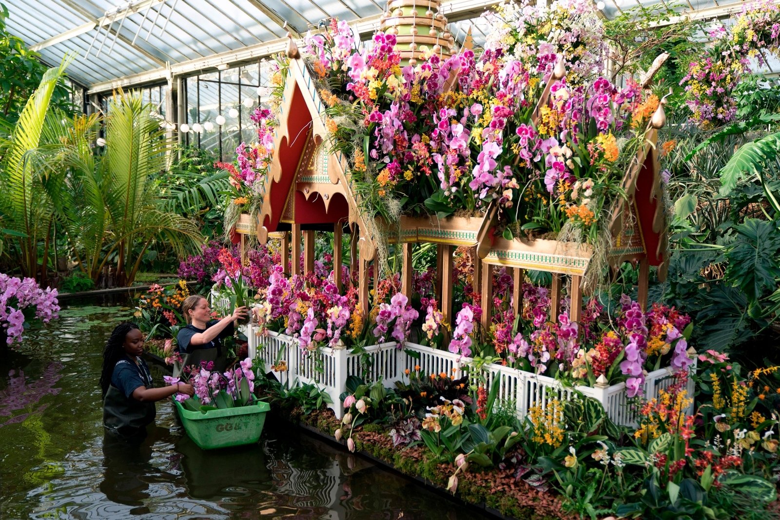 Experience thousands of orchids at Kew Gardens' Thai tropical paradise
