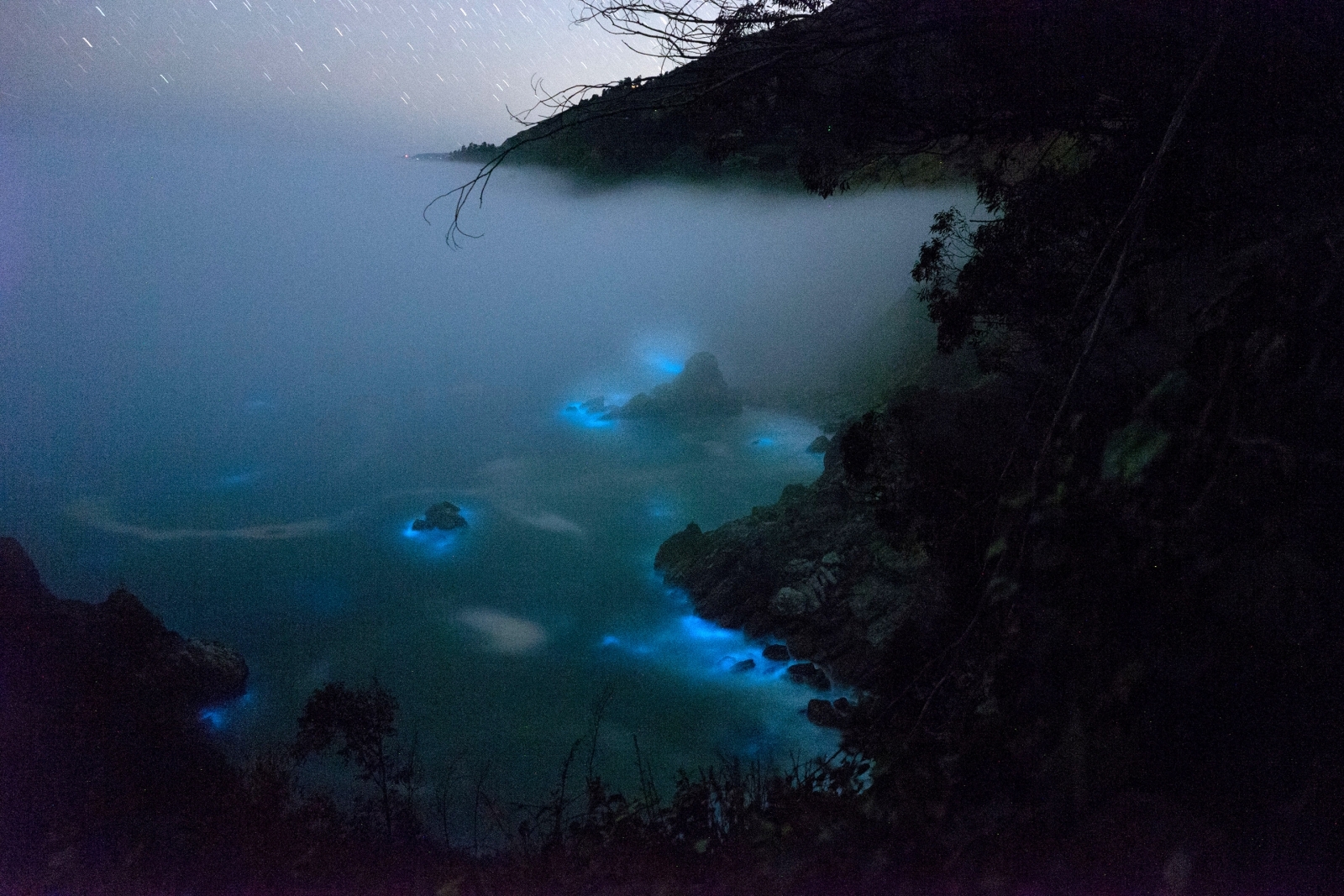 Amazing photos of bioluminescent phytoplankton glowing blue in the sea