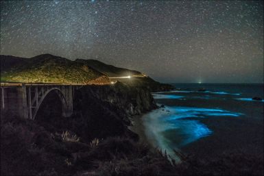 bioluminescent phytoplankton Big Sur California