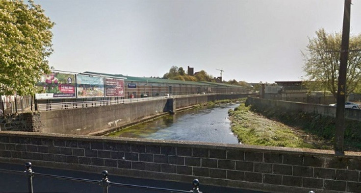 Boy,5, dies after falling in river