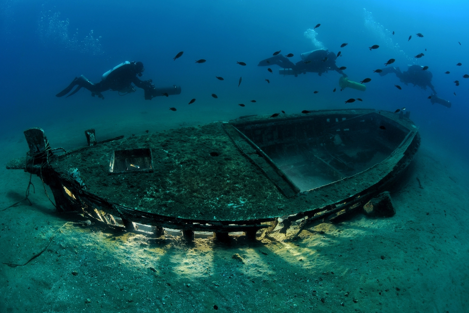 Underwater Photographer of the Year 2018