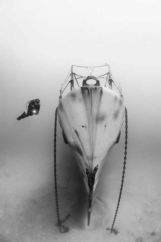 Underwater Photographer of the Year 2018
