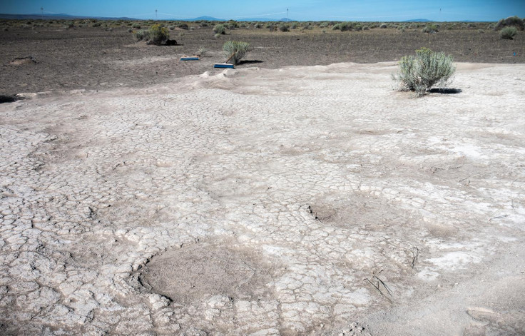 Ice Age Mammoth fossil tracks