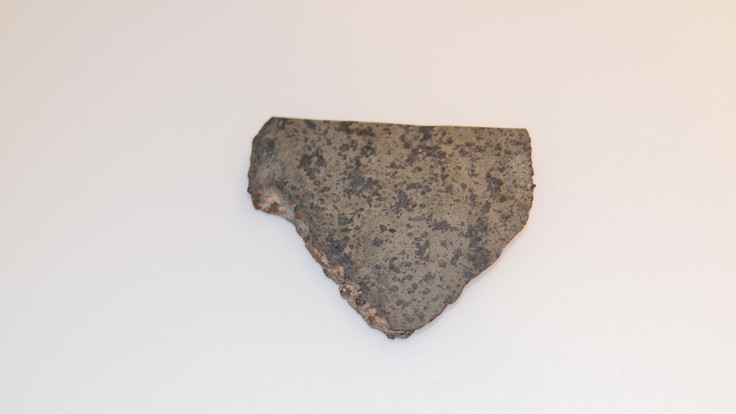 Ancient martian meteorite