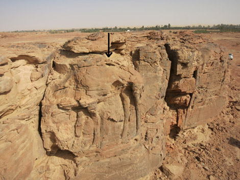 Saudi Arabia rock art