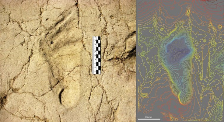 Ancient child footprints