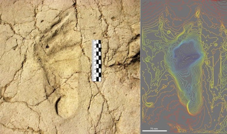 Ancient child footprints
