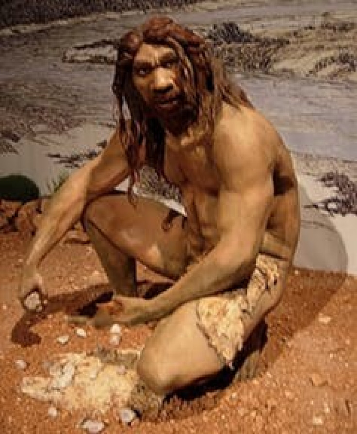 Reconstruction of Homo Heidelbergensis