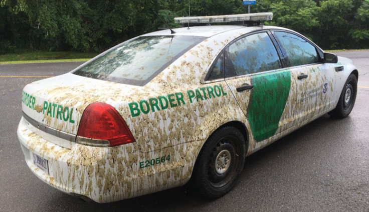 Manure on fed's car