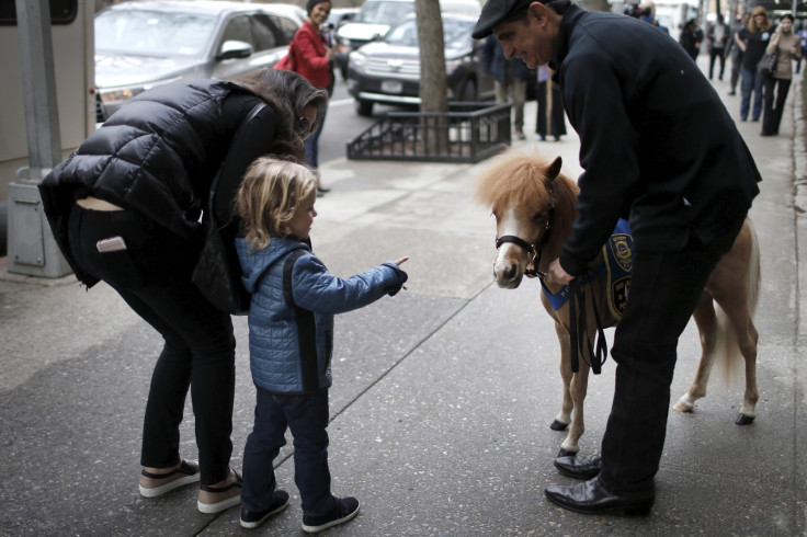 Jorge Garcia-Bengochea holds a therapy horse