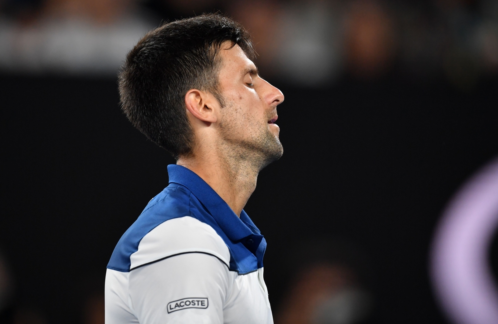 Novak Djokovic's shock return date confirmed after 'failings' following elbow surgery1600 x 1040
