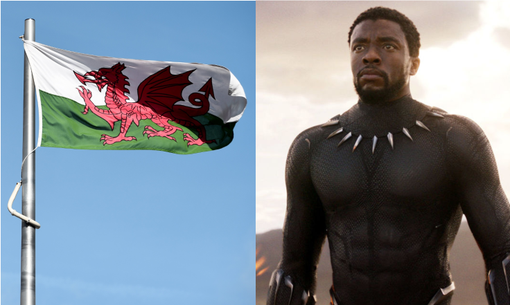 Black Panther Welsh Flag Wales