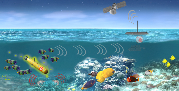 US military wants to recruit sea creatures US military wants to recruit sea creatures