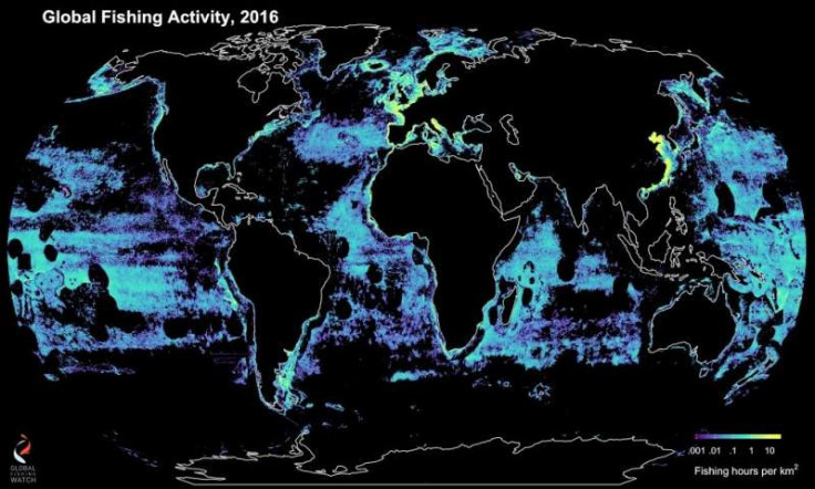 global commercial fishing