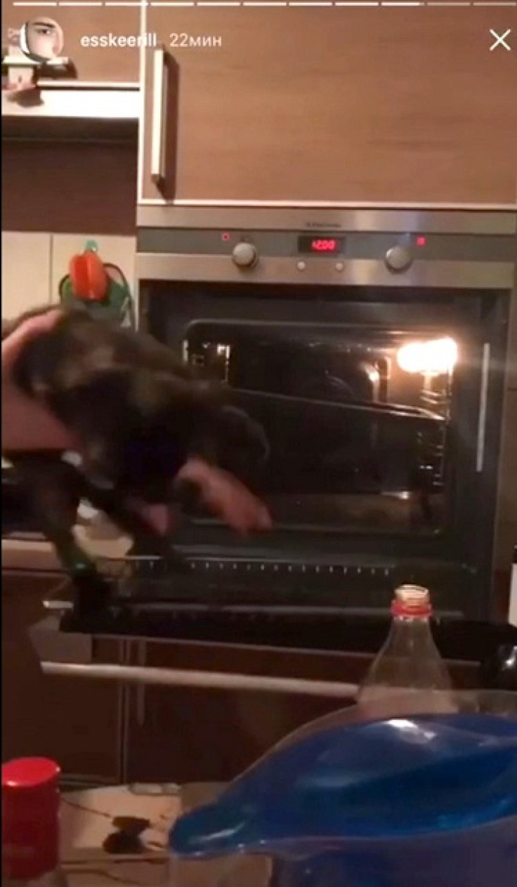 Russian students throw cat in oven