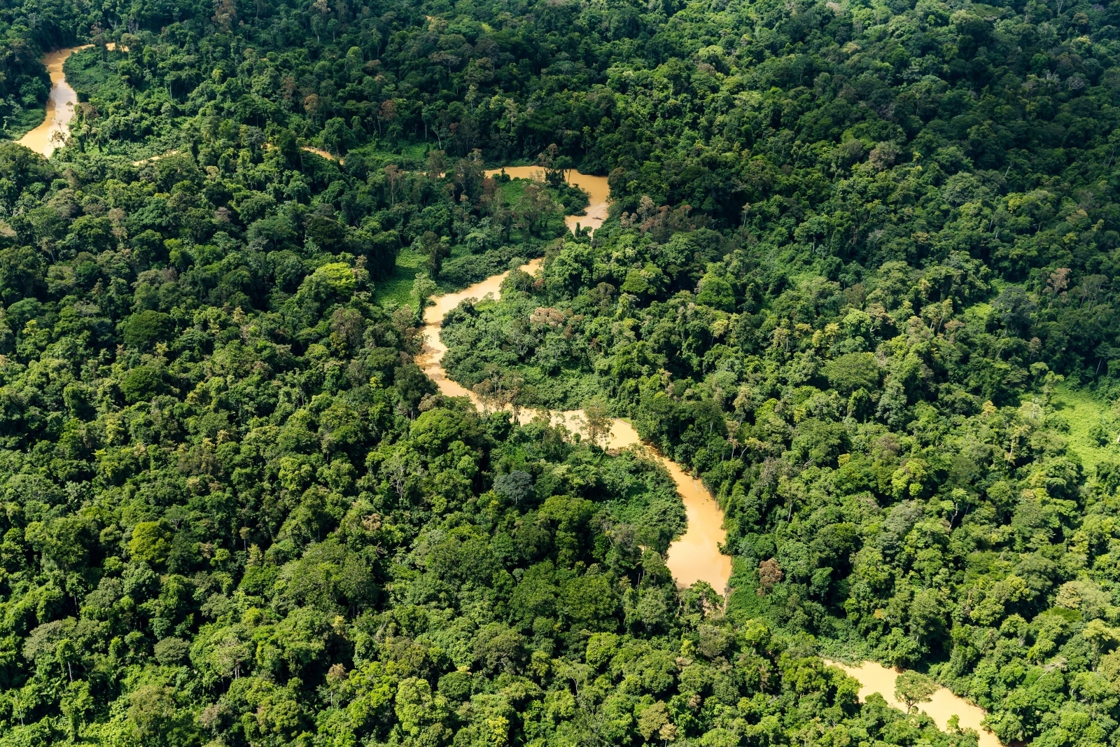 is-it-too-late-to-save-the-amazon-rainforest-scientists-say-it-is