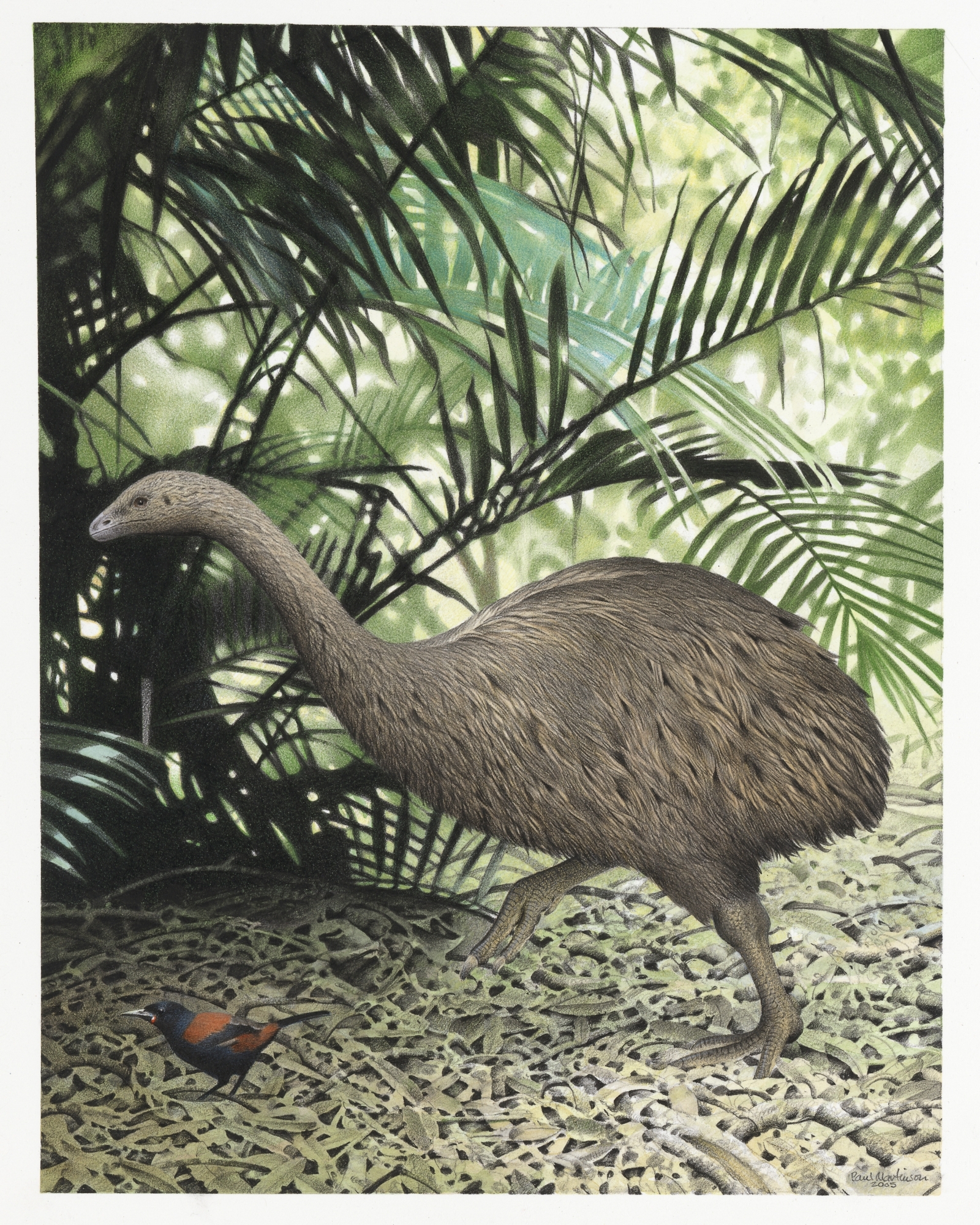 Scientists Close To Jurassic Park Style Resurrection Of Extinct Bird After Recreating Genome