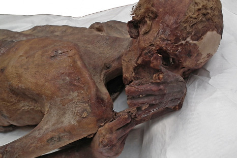 Gebelein male mummy 