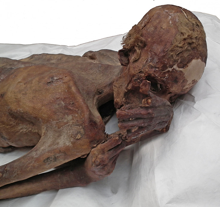 Gebelein male mummy 