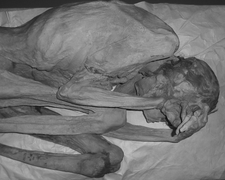 Gebelein female mummy