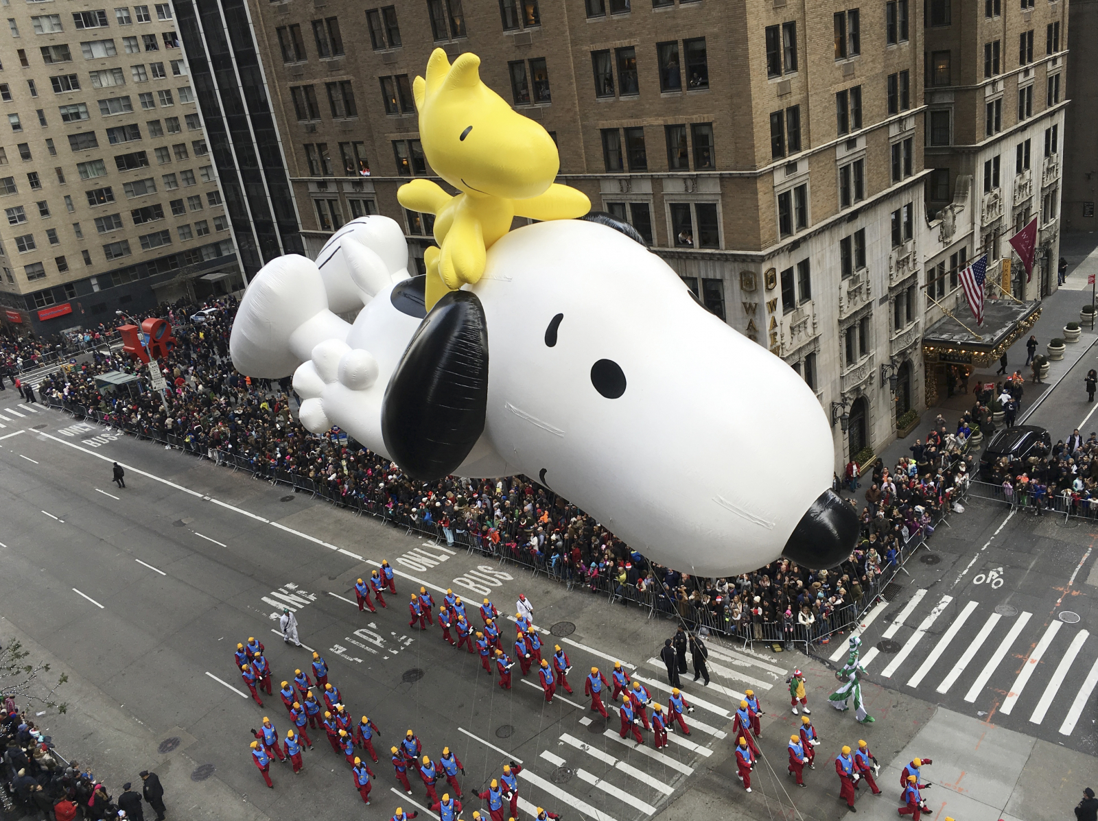 Snoopy joining Sony? Music unit buying stake in Peanuts | IBTimes UK