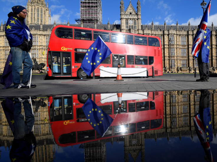 Brexit, Houses of Parliament demonstrators