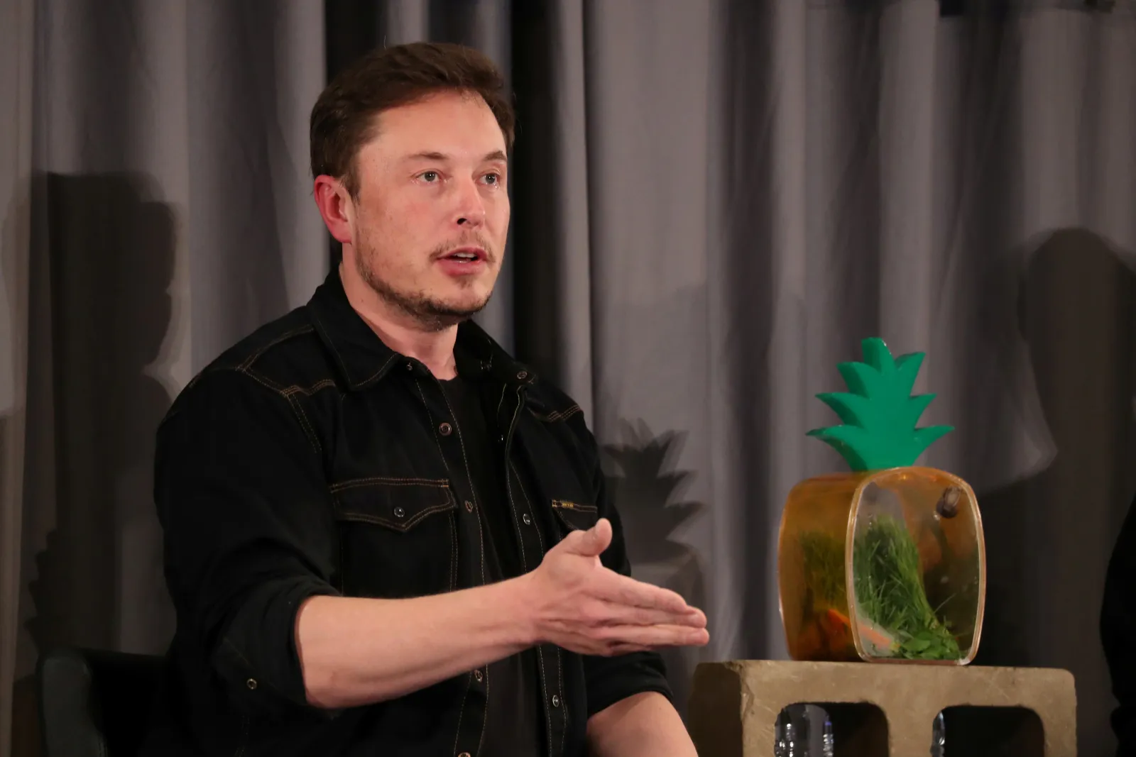 Elon Musk's father claims he is not proud of his billionaire son - Vimarsana News