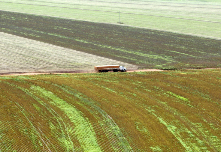 Truck loaded with soybeans