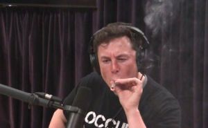 Elon Musk some joint