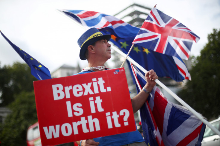 Brexit Houses of Parliament demonstrators