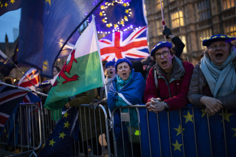 Anti-Brexit protesters outside the Houses of Parliament