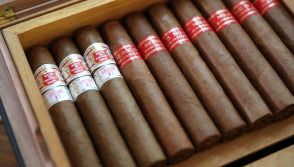 Box of Havana Cigars