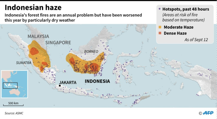 indonesia forest fire