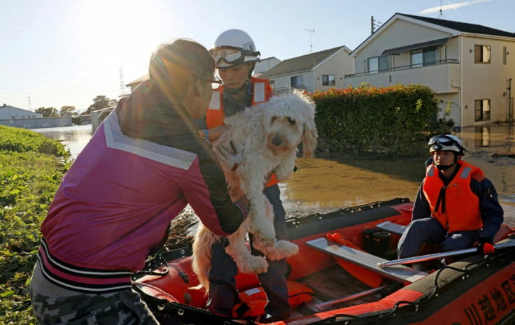 Typhoon Hagibis batters Japan