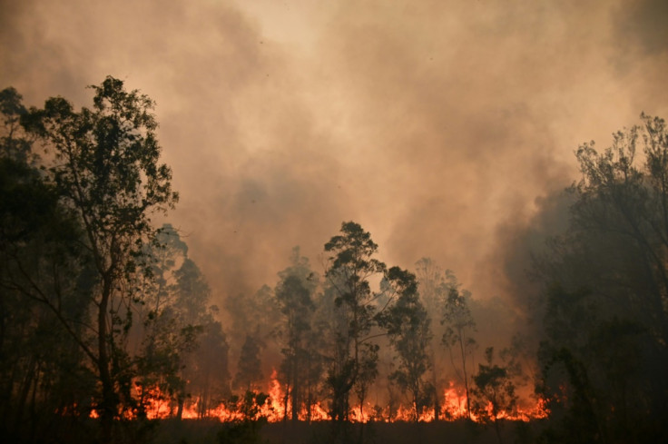 Australia bushfires