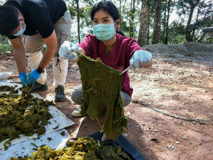 plastic waste found inside dead deer