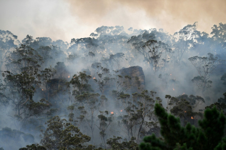 Sydney faces public health emergency