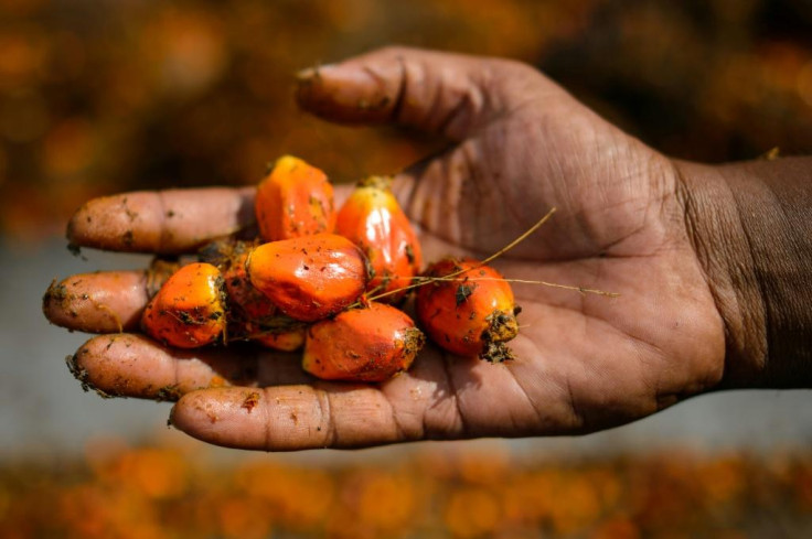 Indonesian Palm Oil