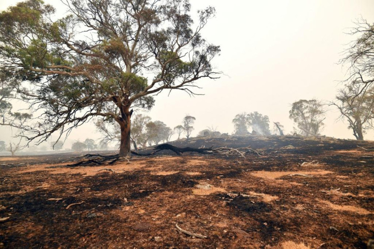 Australian bushfire