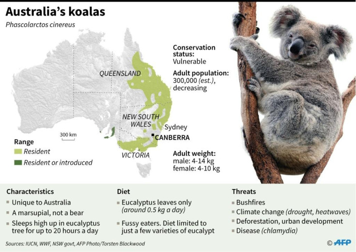 Australian bushfire