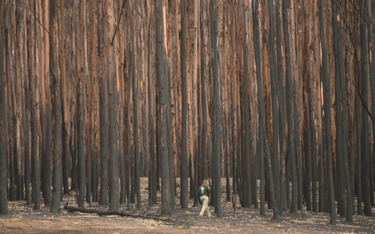 Australia bushfires