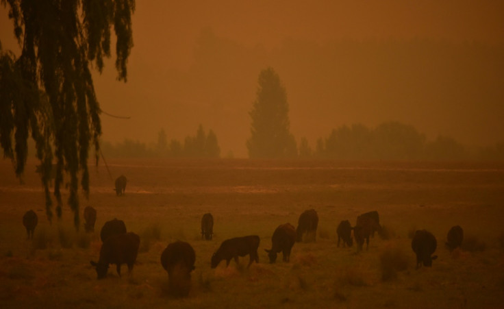 Australia bushfires