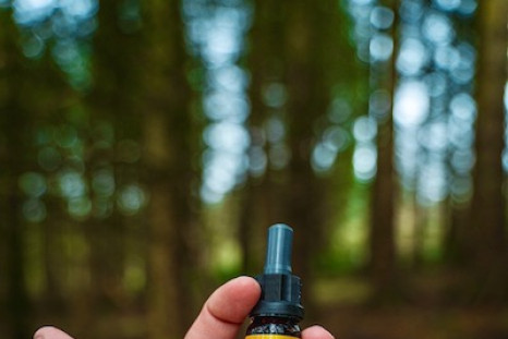 The Top 5 CBD Brands In The UK
