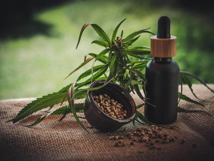 The 5 Best CBD Oils In The UK