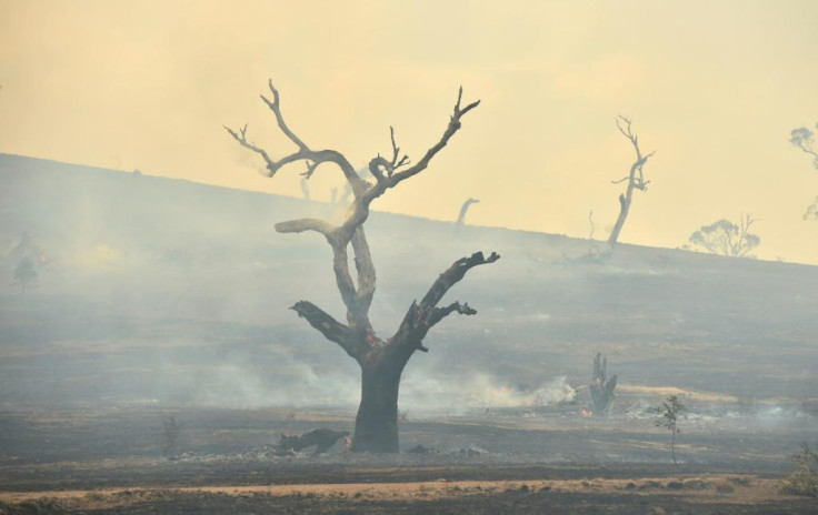 Australian bushfire