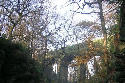 Healey Dell Nature Reserve
